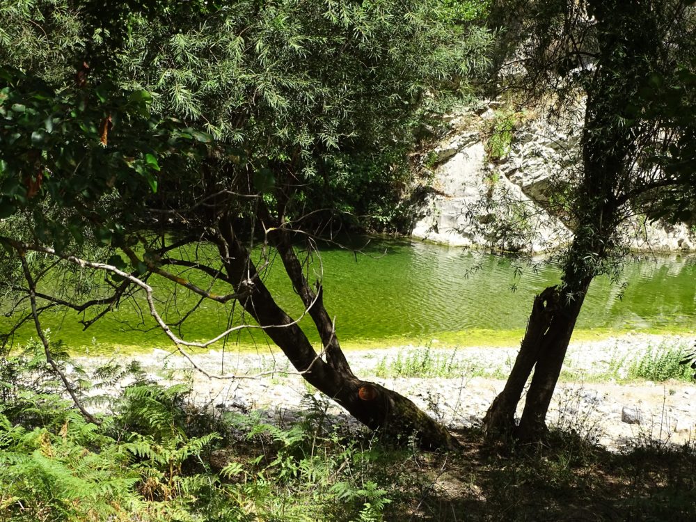Sito di interesse comunitario: Fiume Mingardo