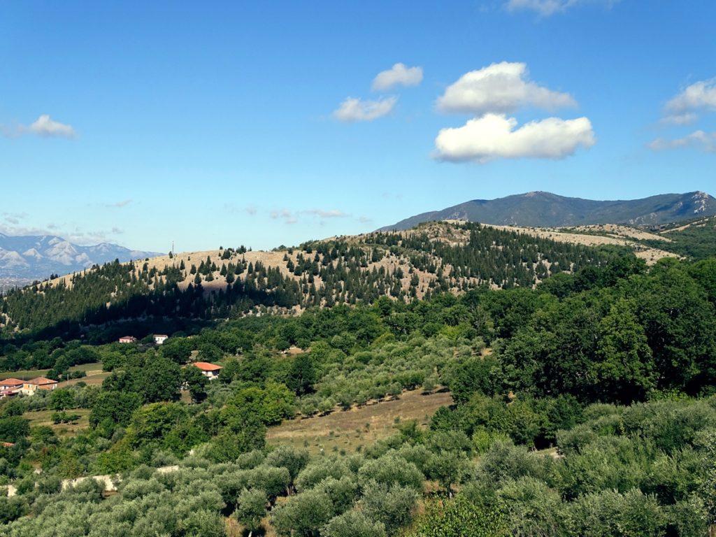 Sito di interesse comunitario: Monti della Maddalena