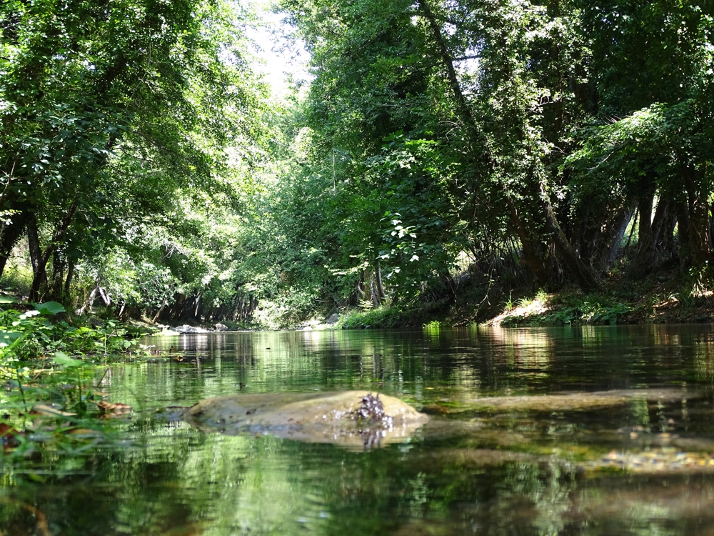 Sito di Interesse Comunitario Basso corso del Fiume Bussento