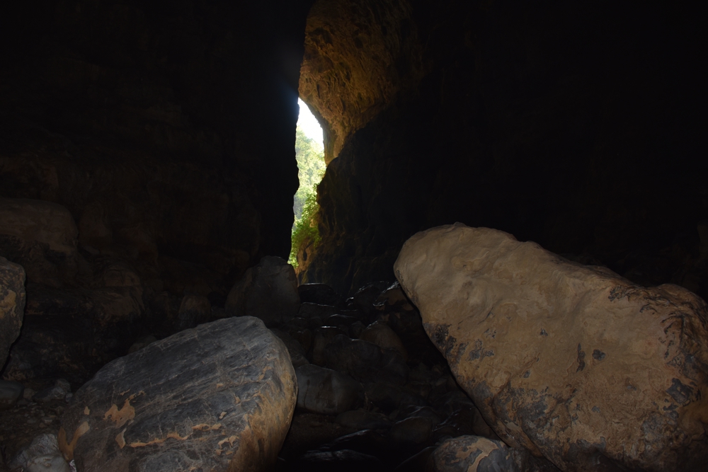 Oasi WWF "Grotte del Bussento"