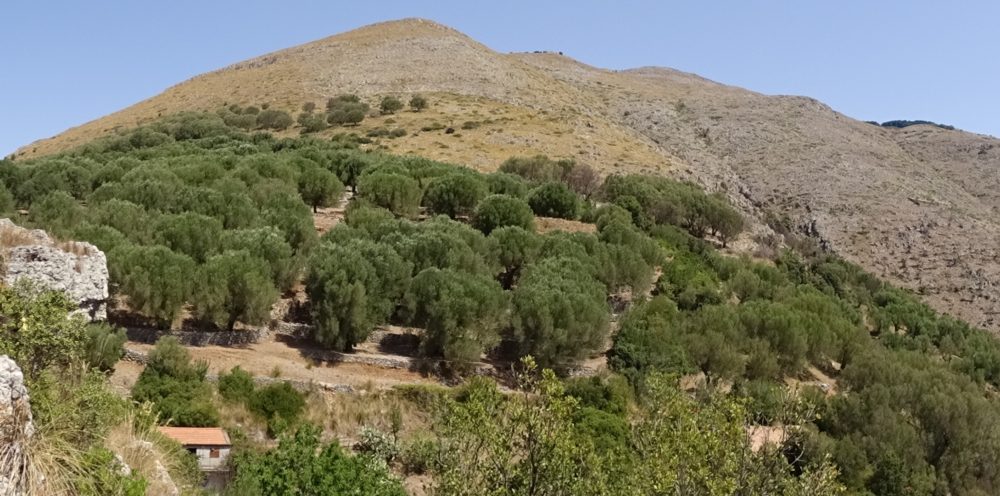 Sito di Interesse Comunitario: Monte Bulgheria